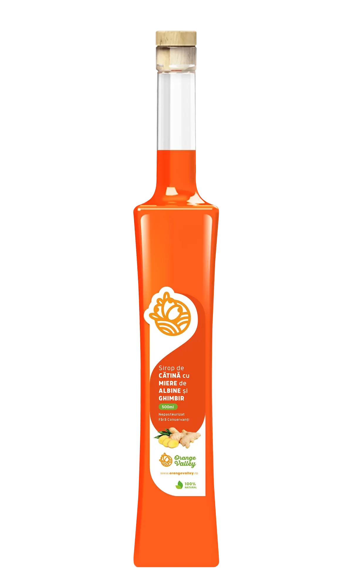 sirop-de-catina-cu-miere-de-albine-ghimbir-500ml.webp